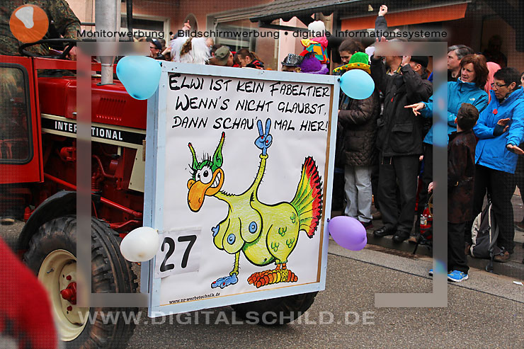 faschingsumzug dahn 2014