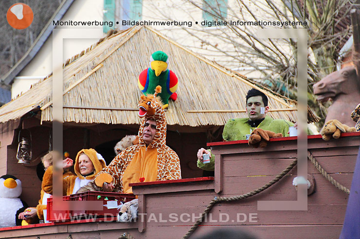 faschingsumzug dahn 2014