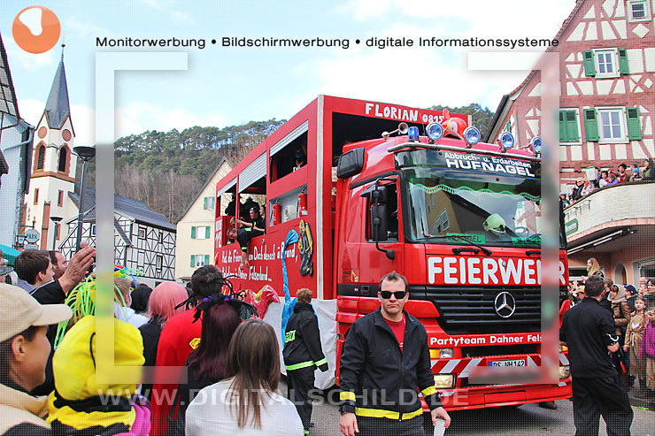 faschingsumzug dahn 2014