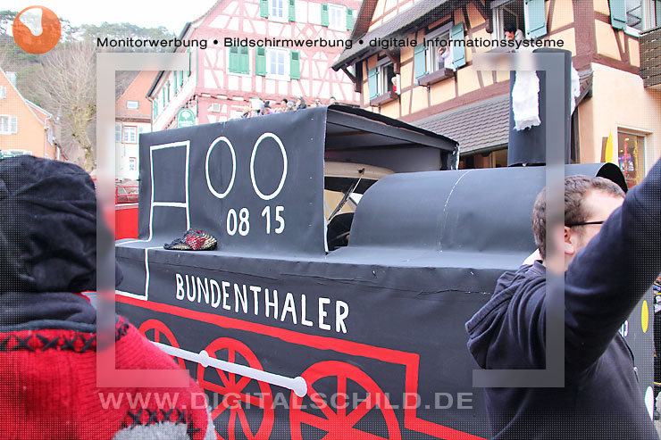 faschingsumzug dahn 2014