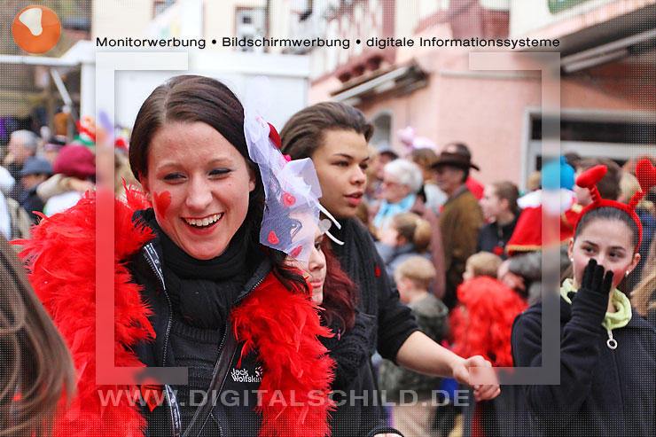 faschingsumzug dahn 2014