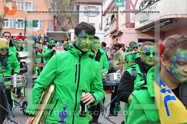 faschingsumzug dahn 2014