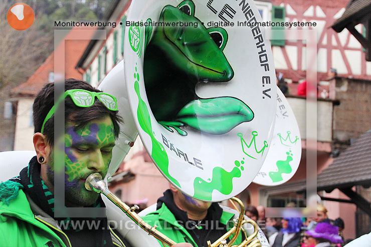 fasnachtsumzug dahn 2014 straßenfasching