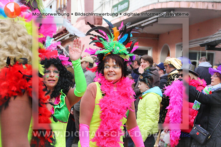 fasnachtsumzug dahn 2014 straßenfasching