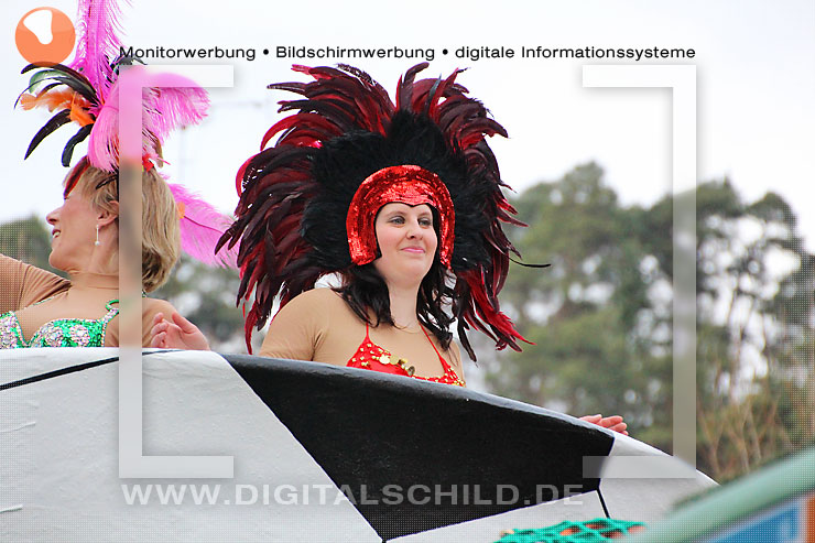 fasnachtsumzug dahn 2014 straßenfasching