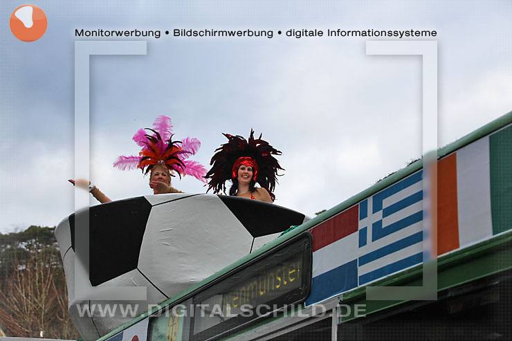 fasnachtsumzug dahn 2014 straßenfasching