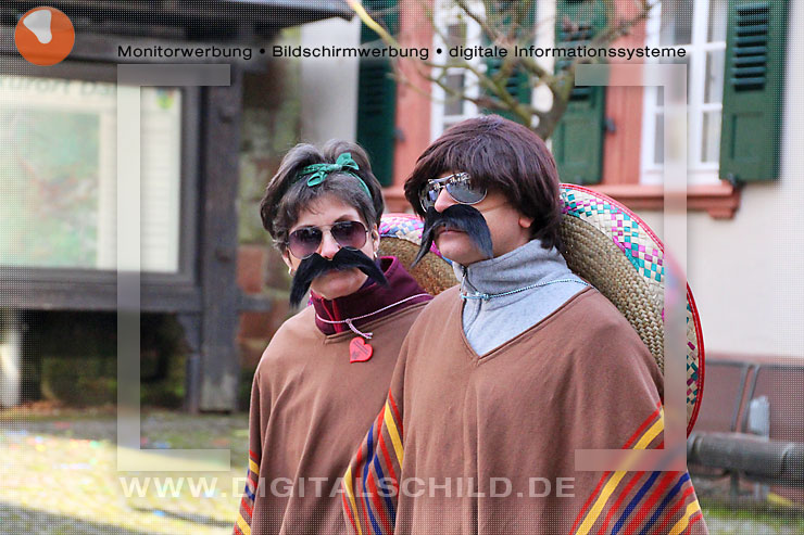 fastnachtsumzug dahn 2014