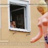 schaufenster werbung heidelberg mannheim